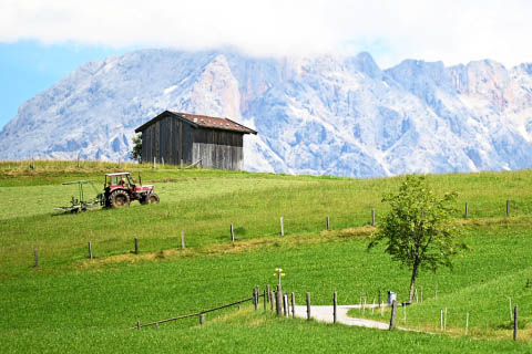 Landwirtschaftliche Einkommen im Jahr 2024 leicht gestiegen